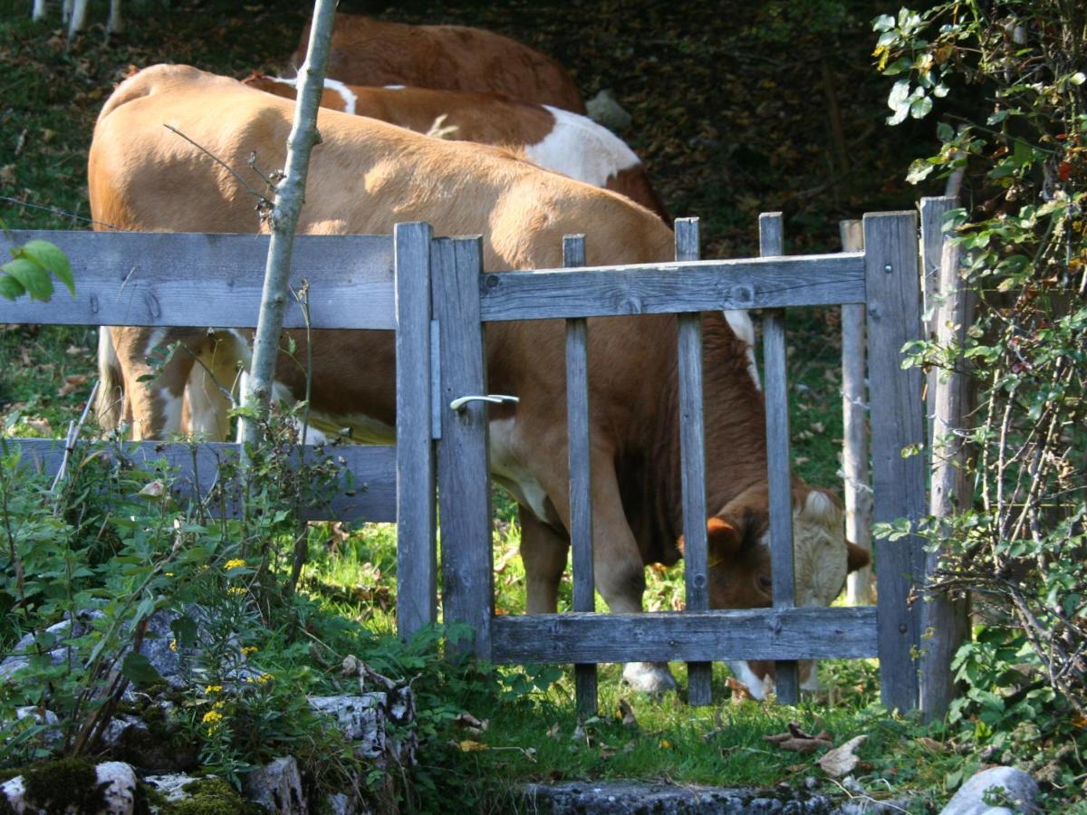 Ferienwohnungen Haus Waldwinkel Aschau im Chiemgau Eksteriør billede